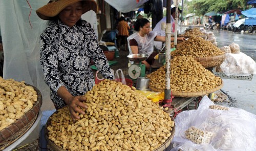 Agriculture-exporting Vietnam still relies heavily on imports