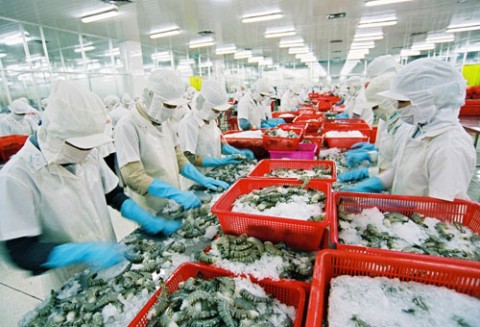 VN shrimp costlier than China's
