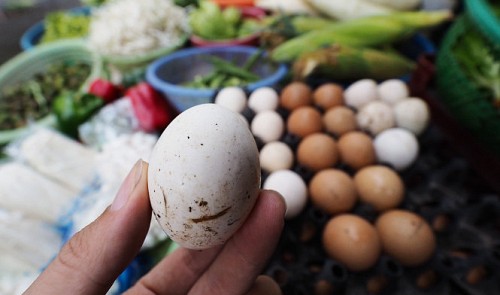 Egyptian chicken eggs disguised as home-raised eggs sold openly in Vietnam