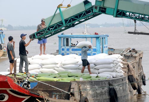 Agro-forestry-fishery exports up, rice down