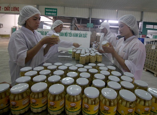 Survey: integration concerns for some VN firms
