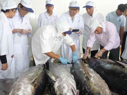 Viet Nam's tuna exports up slightly