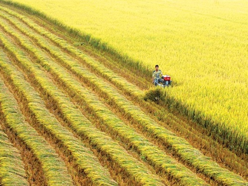 Mekong Delta showcased for French investors