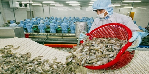 US keeps duties on VN frozen shrimp