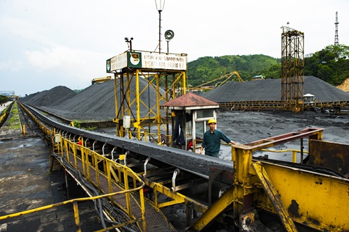 Viet Nam coal giant hastens change