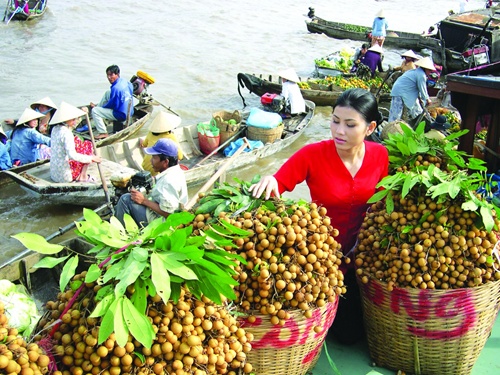 Vietnamese fruit exporters look for State support