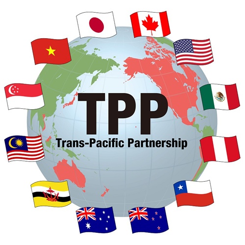 VN laws need fine tuning for TPP: report