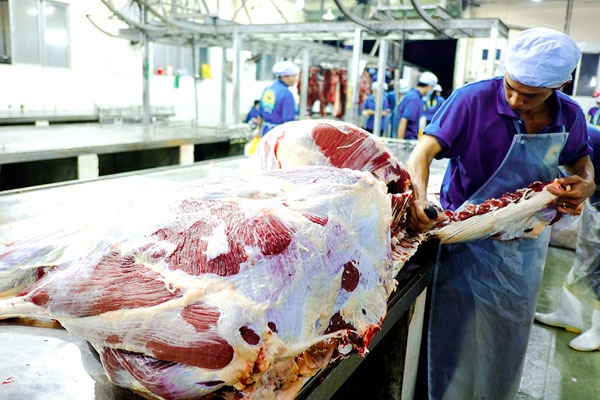 EU beef imports to VN recover
