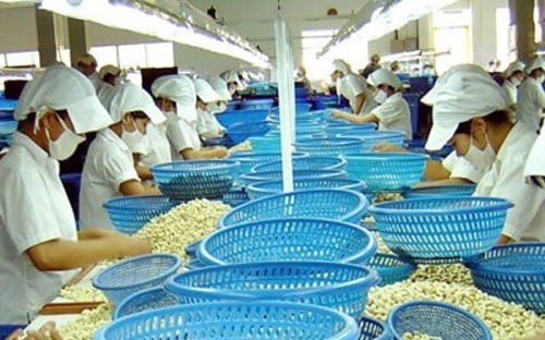 Cashew industry sets standards