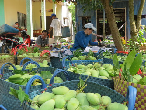 Agriculture to focus on 10 key exports