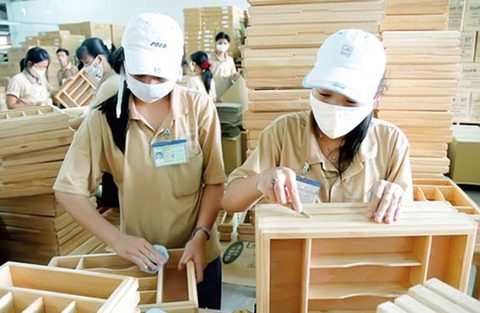 Workshop helps Vietnamese timber industry export to Europe