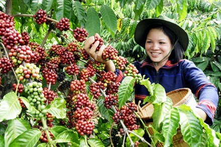 Changes brewing in coffee industry