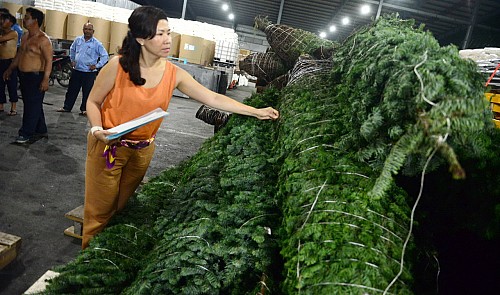 Vietnamese market heats up as Christmas, New Year near