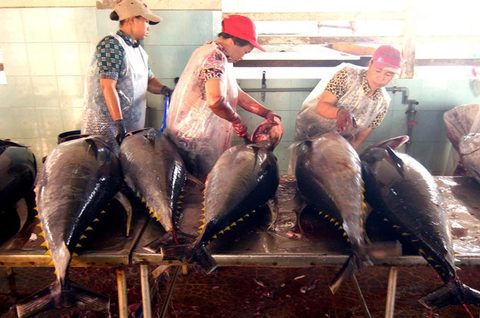 Tuna exporters aim for 8% increase this year