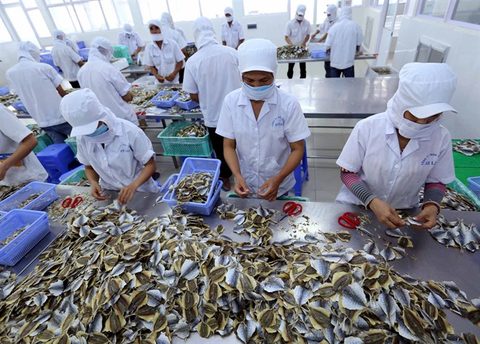 Seafood firms urged to register online