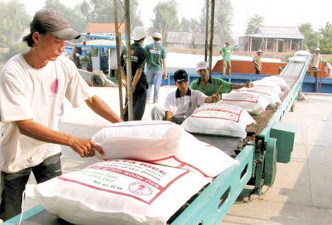 Viet Nam wants China to permit more rice exporters