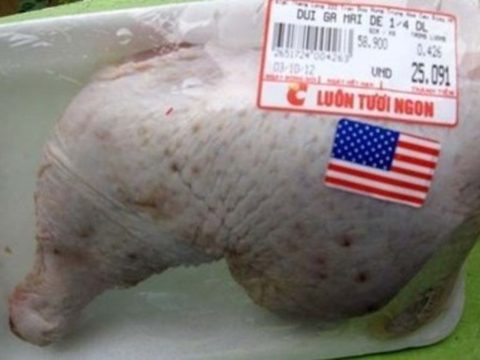 Avian flu scare: VN halts US poultry imports