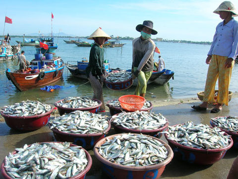 $7 million earmarked for fisheries