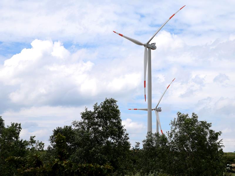 Enfinity wind power project investor still committed to Vietnam plan