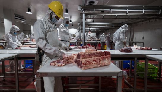Government to help abattoir stay out of the red