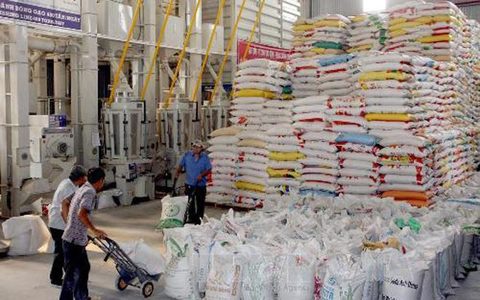 PM urges increasing added-value of rice