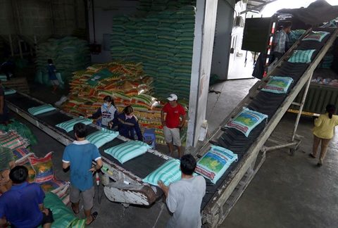 Domestic price hike hurts VN rice exporters