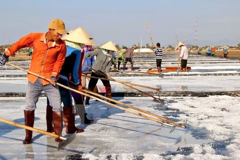 Industrial salt import limited to 102,000 tonnes