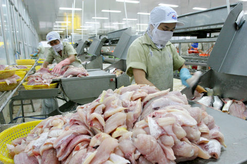 VN catfish exporters gear up for US inspections