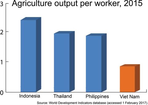 VN to reach GDP of 6.5% this year