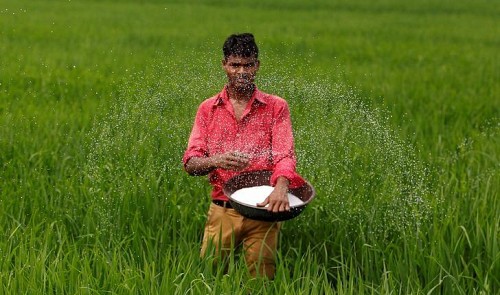 Rice prices rise in India, stable in Vietnam