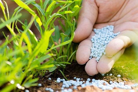 Fertiliser businesses call for domestic protection