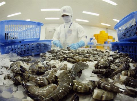 US extends anti-dumping duties on VN frozen shrimp