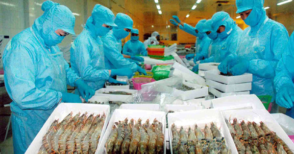 Japan becomes largest importer of VN’s shrimps