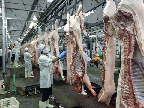 Viet Nam negotiates with China to export pork