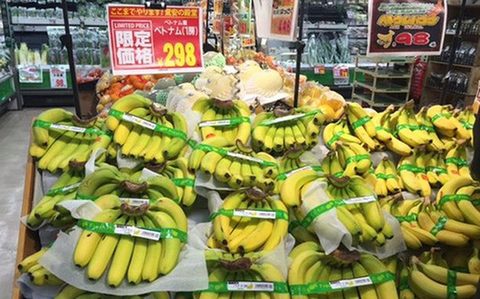 VN eyes more fruit exports to Japan