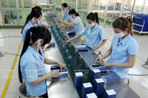 Foreign firms eye VN cosmetics