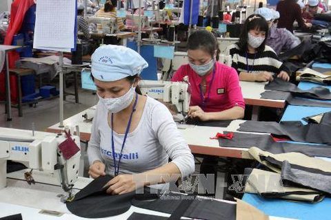 Find ways to step up EU exports, VN firms urged