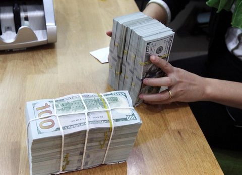 Foreign exchange reserves at record high of $42 billion