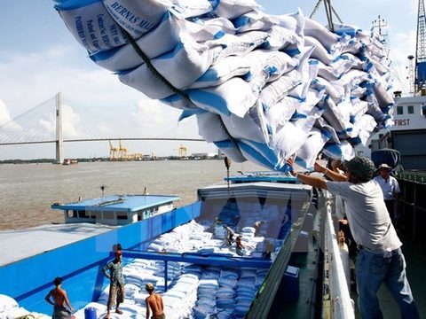 VN strives to increase rice exports by 2030