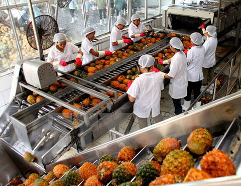 Spending on fruit, veg imports rises