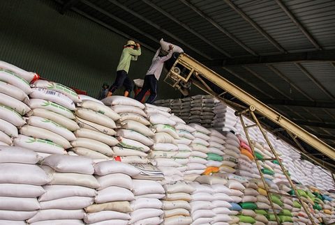 VN to reform rice production, improve exports