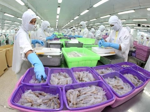 Viet Nam aims to boost export of shrimp to Asia
