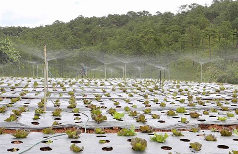 High-tech farms offer vision of future