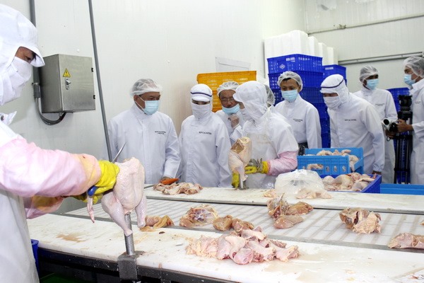 VN sends 1st poultry batch to Japan