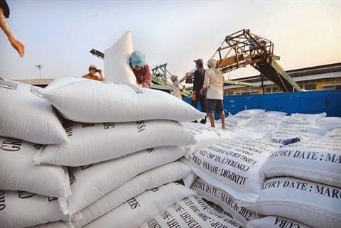 Can Tho to begin exporting rice to Iran