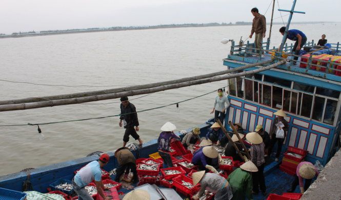 Vietnam’s seafood ‘yellow carded’ by European Commission