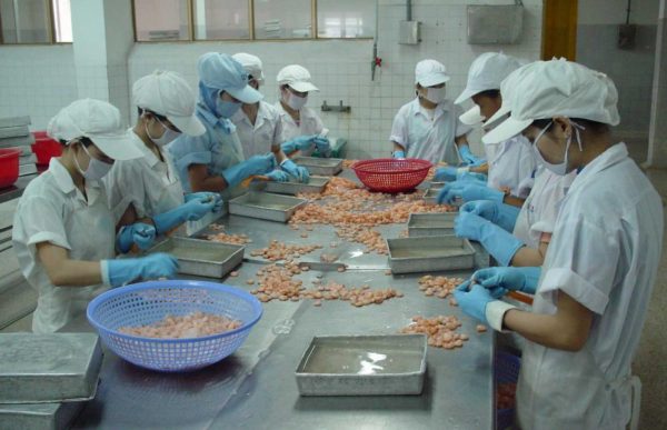 Food processing industry has ample space for development