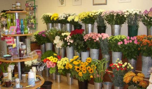 ADB helps Viet Nam promote inclusive flower production