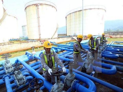 PetroVietnam surpasses 11-month targets