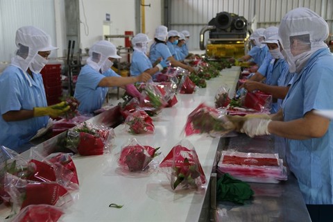 PM calls for improved logistics to boost fruit, vegetable exports